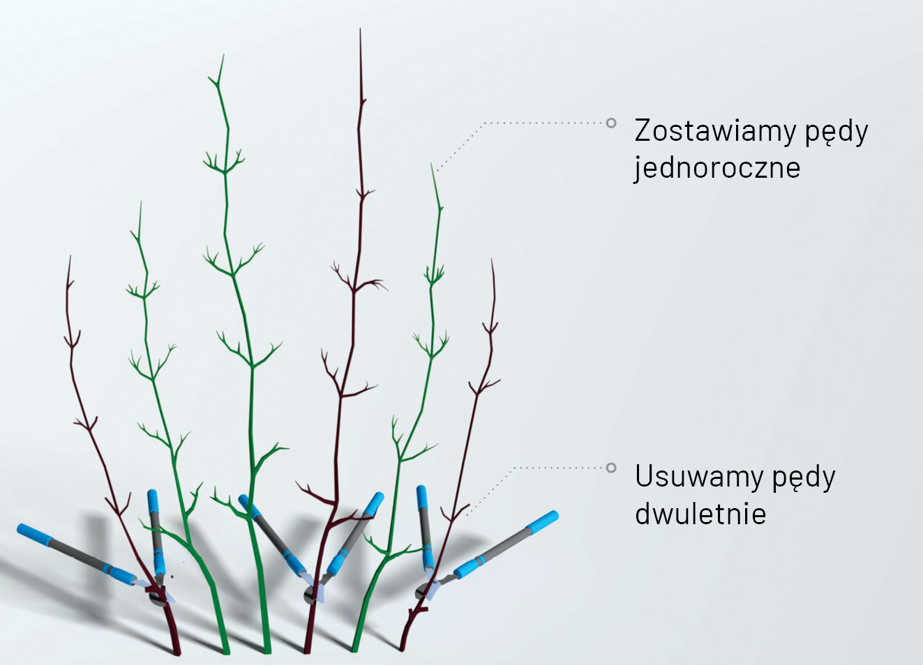 K2000 - Jak prowadzic ekoogród